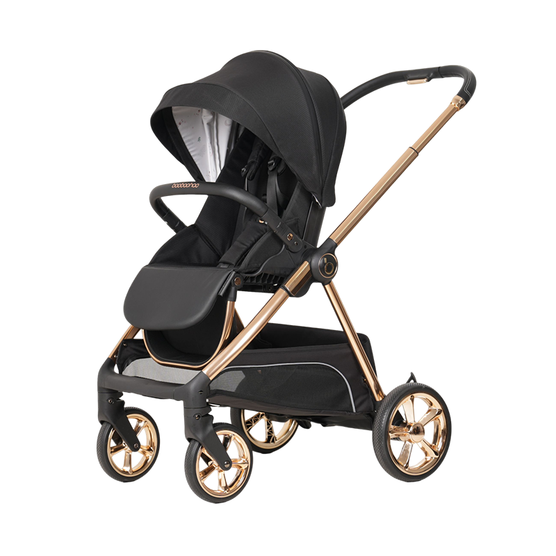 Baobaohao T2 3-in-1 High-View Stroller with Seating and Reclining Options